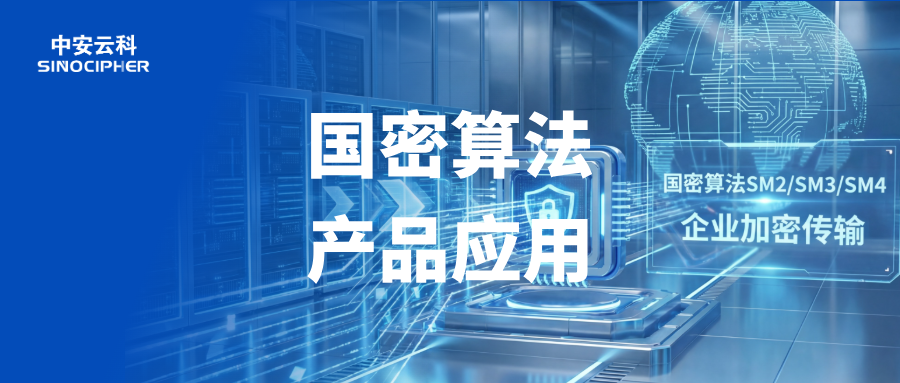国产密码算法在企业加密传输中的应用 以链路密码机和IPSec/SSL VPN综合安全网关为例